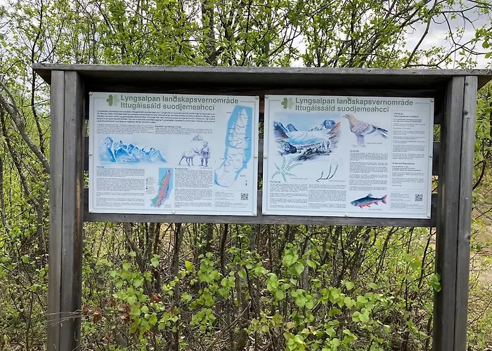 Fjord Northern Lights House Casa vacanze